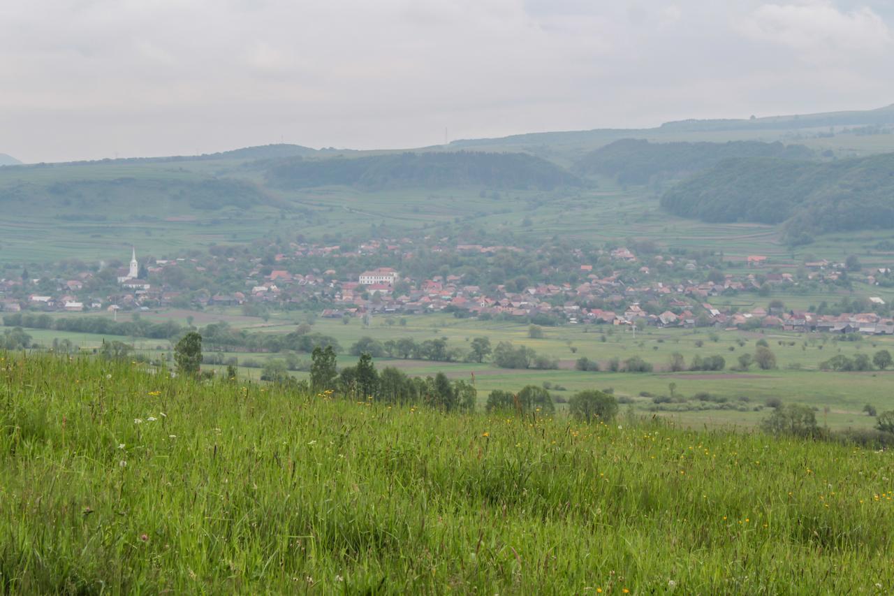 Mano Kulcsoshazak Holiday home