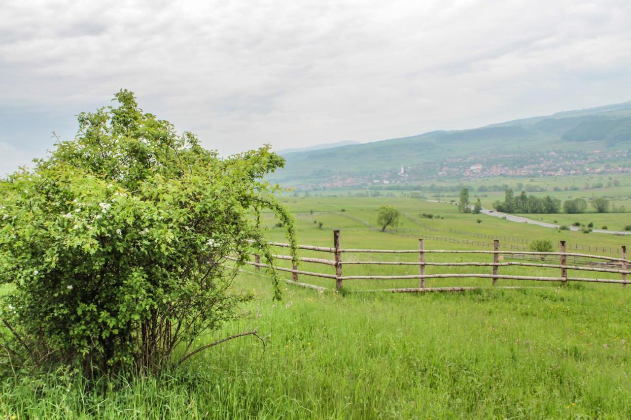 Mano Kulcsoshazak Holiday home